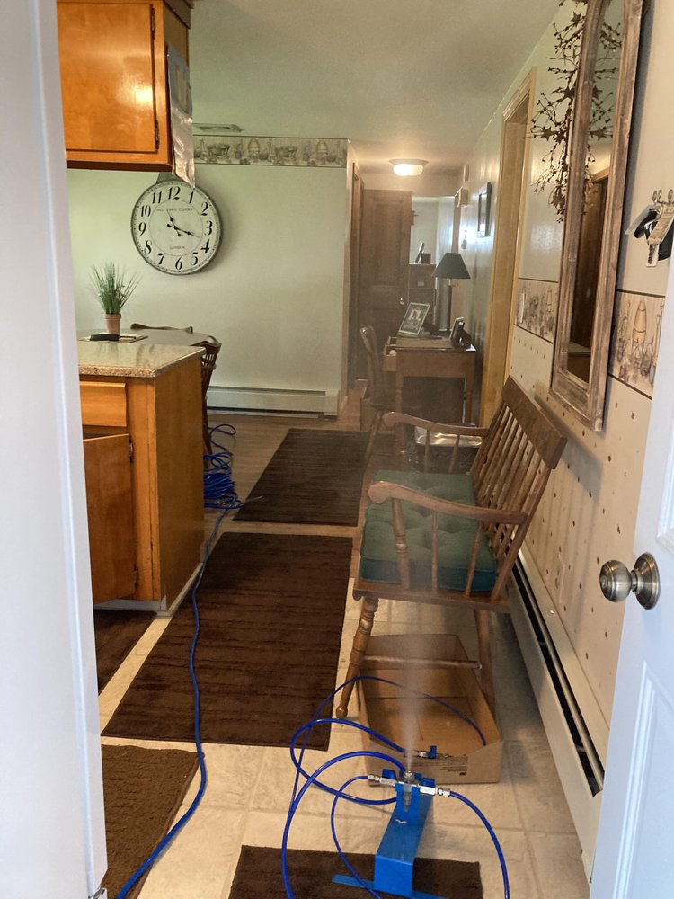 Pure Maintenance Services of New England - mold inspector in Attleboro, MA