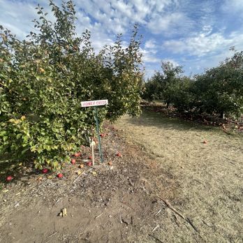 Apple Jack Orchards - Fruits & Veggies Near Me - Delano, Minnesota