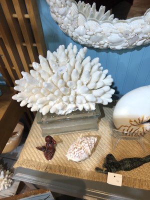 The Blue Mussel by null