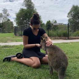 feeding a wallaby at Symbio