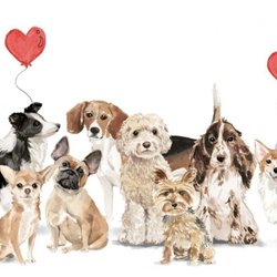 Your Pampered Pet - It is a pleasure to pamper your pet!