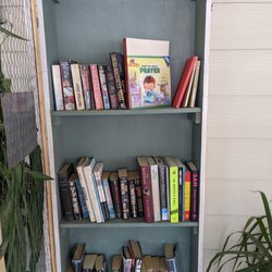 Little Free Library - Little Free Library, 10744 Ocean Hwy, Pawleys Island