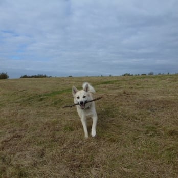 Pennington Flash Country Park - Parks Near Me - Leigh, LAN