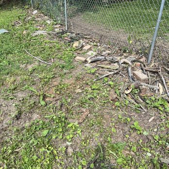 Virgils Tree Service - The mess from the tree removal which was not cleaned up - Tree Services Near Me - Gary, Indiana