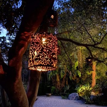 Woodlilys - Custom light fixture in tropical garden - Landscape Architects or Designers Near Me Woodlilys - Custom light fixture in tropical garden - Landscape Architects or Designers Near Me
