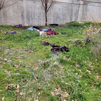 Hidden Hollow - Strewn trash thrown down on path from homeless. - Parks Near Me - Salt Lake City, Utah