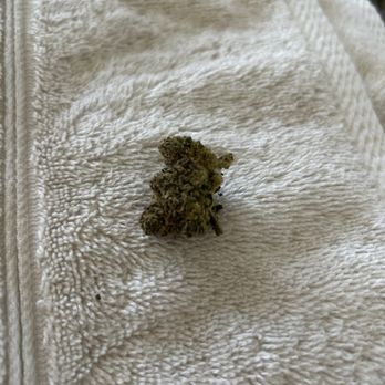 Puff-N-Dash - STIIIZY White Zerbert. - Cannabis Dispensaries Near Me - San Diego, California Puff-N-Dash - STIIIZY White Zerbert. - Cannabis Dispensaries Near Me - San Diego, California