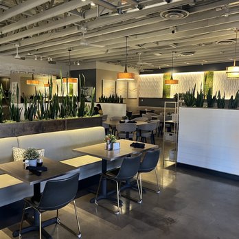 Picazzo's - Inside dining area - Gluten-Free Near Me - Gilbert, Arizona Picazzo's - Inside dining area - Gluten-Free Near Me - Gilbert, Arizona