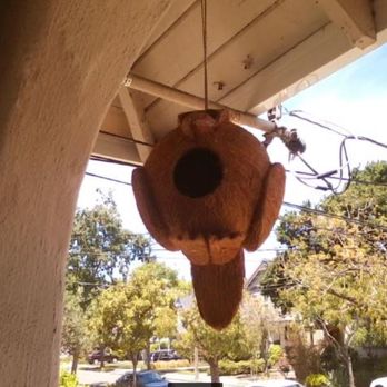 CJ Gift Shoppe - Coconut bird (now hanging at my home) from CJ Gift Shoppe.  See the tail, hanging down in back, and eyes on top, and hole for real bird. - Gift Shops Near Me - Valley Center, California