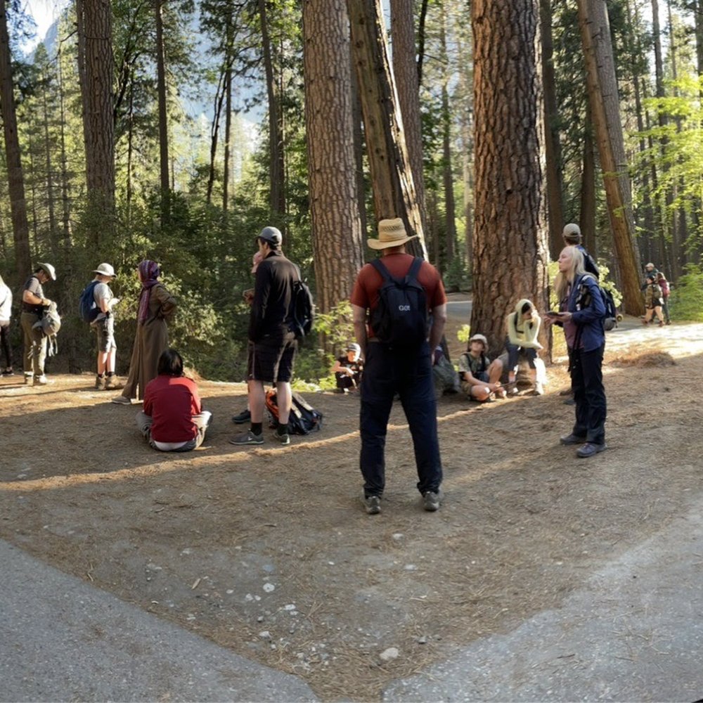 Yosemite Valley Shuttle - Loads of people in a LONG line- we are STOP 17- Mirror Lake- about 50 people waiting - Transportation Near Me - Yosemite, California Yosemite Valley Shuttle - Loads of people in a LONG line- we are STOP 17- Mirror Lake- about 50 people waiting - Transportation Near Me - Yosemite, California