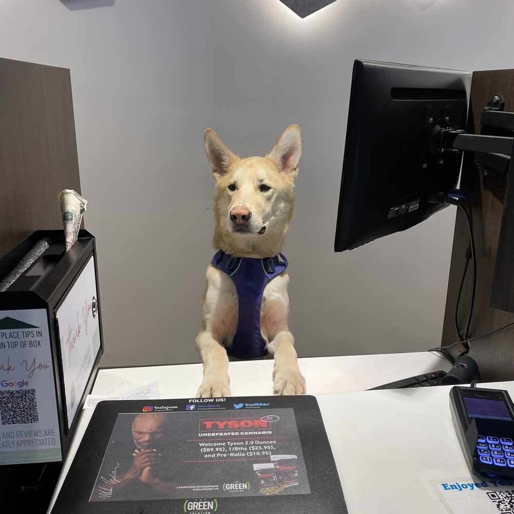 Hello sir, how may I help you? Hello sir, how may I help you?