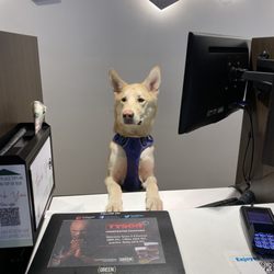 The Green Solution - Hello sir, how may I help you?