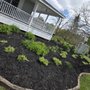 G&D Tree Service & Yard Maintenance