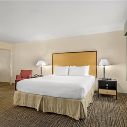 Best Western Petaluma Inn - ADA King Room