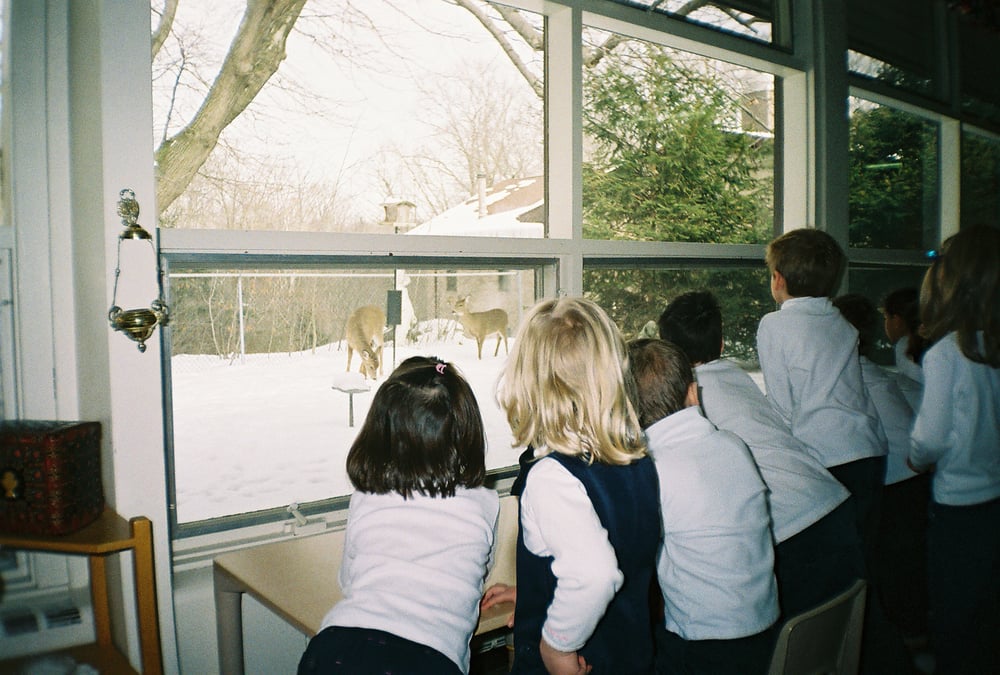 Montessori School of University Heights - childcare center in Lyndhurst, OH