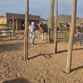 Tucson Mountain Stables - Horseback Riding Near Me