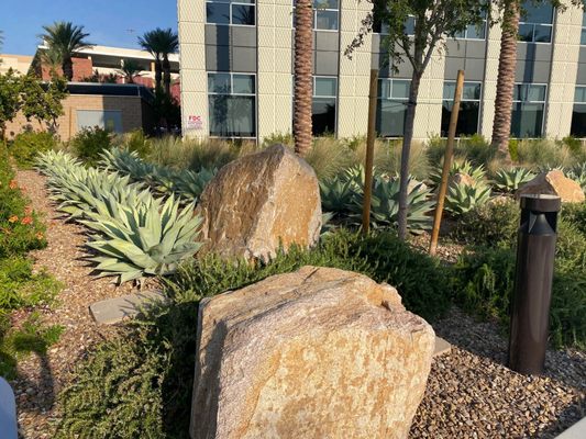 West Deck Concrete Coating