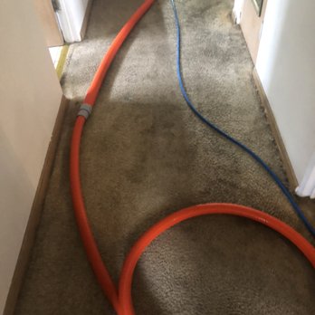 Exceptionally Clean Carpet - Heavy soiled HL - Carpet Cleaning Near Me