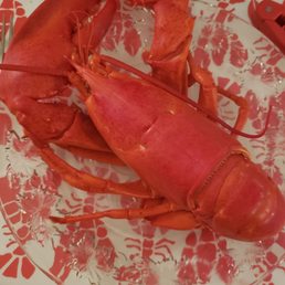 My 1 1/2 pounder, sweet and succulent!