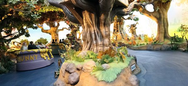 Tokyo Disneyland by null