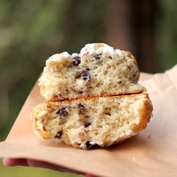 Inside of Saskatoon Berry White Chocolate Scone ($4.50) - not good. Dry, chalky texture; unpleasant bitter taste (too much baking powder?)