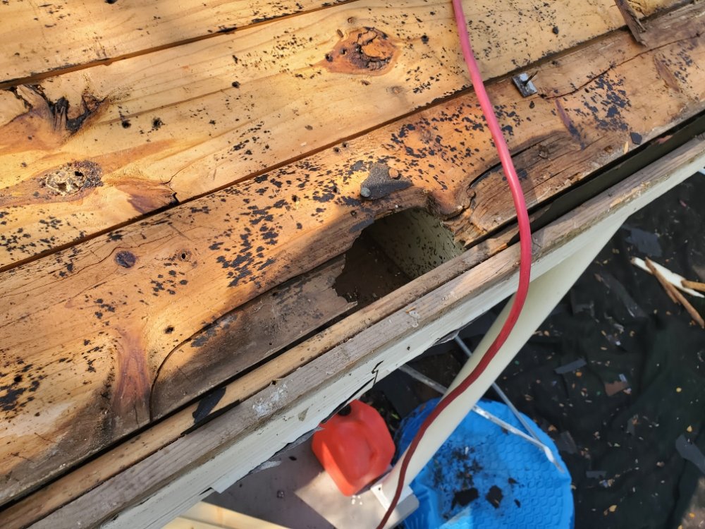 Slide of Bad Storm Roofing and Restoration