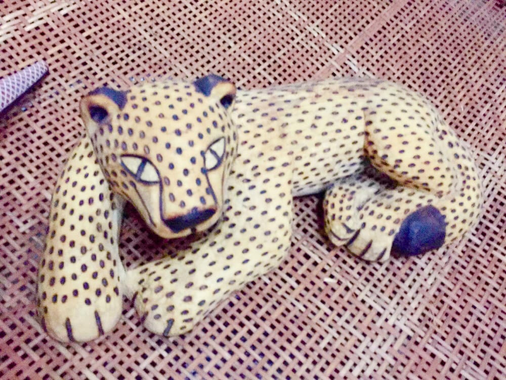 Amoa Konoya Arte Indígena