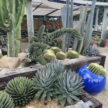 Succulent World - One of many Display at succulents world Fl. - Nurseries & Gardening Near Me - Homestead, Florida