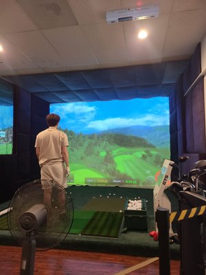 W Screen Golf by null