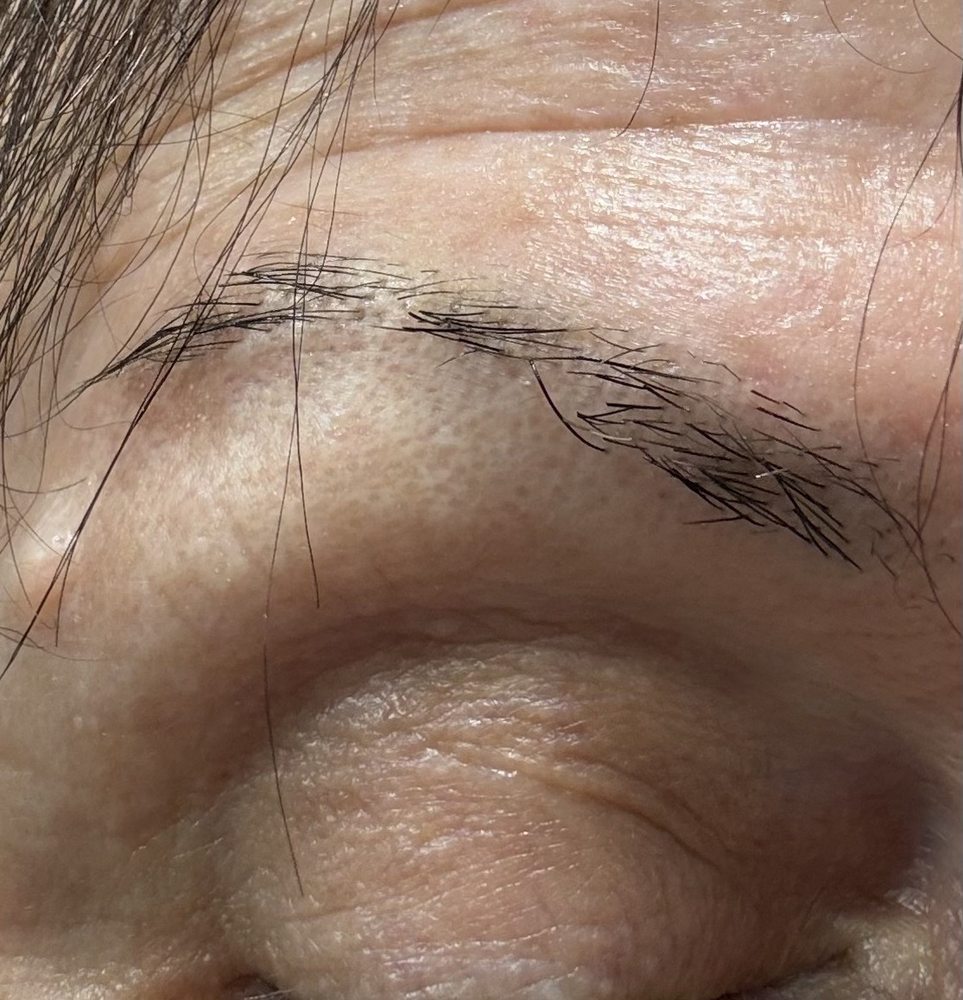 Brow Philosophy Logo