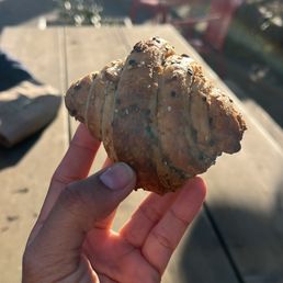 Vegan Everything Croissant Vegan Everything Croissant