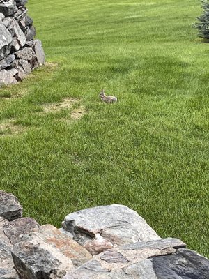 Chapel In the Hills by null