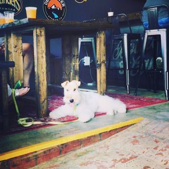 Bottle & Can Salisbury - a white dog on a leash - Beer Bar Near Me - Salisbury, North Carolina Bottle & Can Salisbury - a white dog on a leash - Beer Bar Near Me - Salisbury, North Carolina