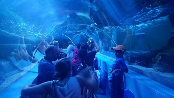 Sea Life Scheveningen by null