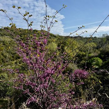 North Table Mountain - Hiking Near Me - Oroville, California
