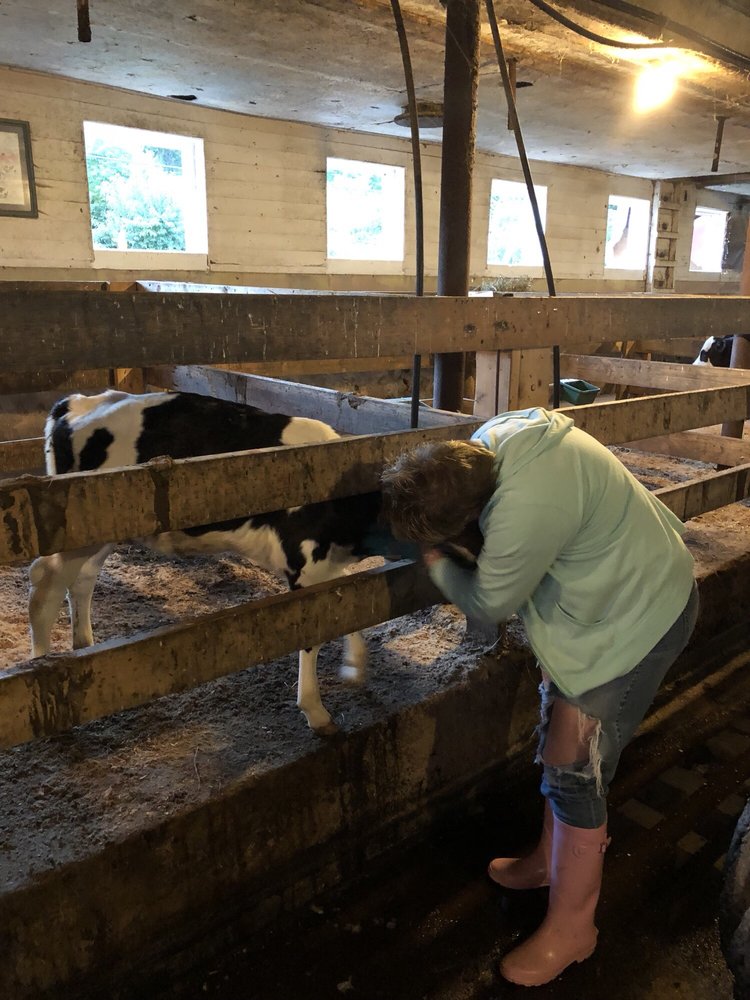 ROGERS FARM Updated September 2024 16 Photos 2301 Southbridge Rd