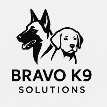 Bravo K9 Solutions - Pet Training Near Me - Newnan, Georgia Bravo K9 Solutions - Pet Training Near Me - Newnan, Georgia