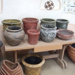 Tree of Life Nursery