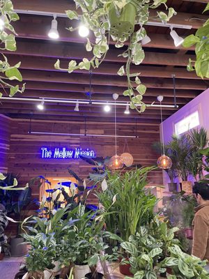 The Mellow Mission by null