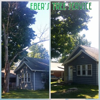 Eber's Tree Service - Dead tree removal - Tree Services Near Me Eber's Tree Service - Dead tree removal - Tree Services Near Me