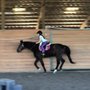 Photo of Aleya Tarver Horsemanship