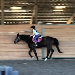 Aleya Tarver Horsemanship - Cantering...