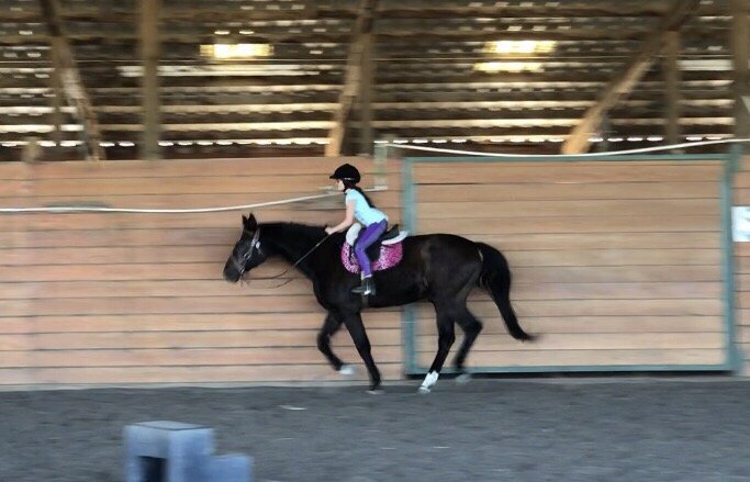 Aleya Tarver Horsemanship Logo