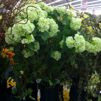 Hobby Lobby - Hobby Shops Near Me - Rocky Mt, North Carolina