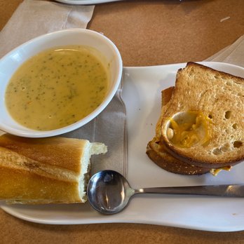 Panera Bread - Broccoli and cheddar soup, chipotle bacon melt - Sandwiches Near Me - Tampa, Florida