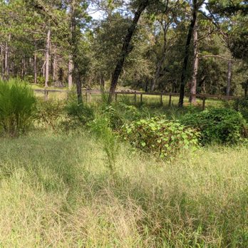 Linea Blu Property Maintenance - Bush Hogging large or small property. - Tree Services Near Me Linea Blu Property Maintenance - Bush Hogging large or small property. - Tree Services Near Me
