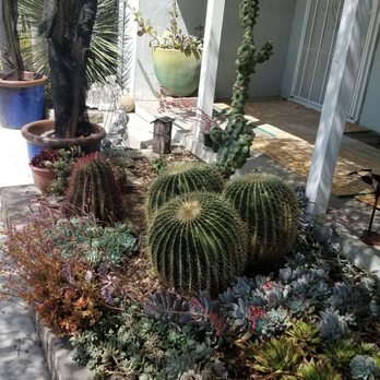 Poot's Cactus Nursery - Nurseries & Gardening Near Me - Ripon, California