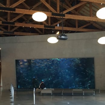 Seattle Aquarium - Aquariums Near Me - Seattle, Washington Seattle Aquarium - Aquariums Near Me - Seattle, Washington