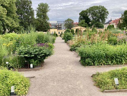 The Linnaeus Museum by null