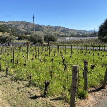 Pine Ridge Vineyards - Vineyard - Wineries Near Me - Napa, California Pine Ridge Vineyards - Vineyard - Wineries Near Me - Napa, California